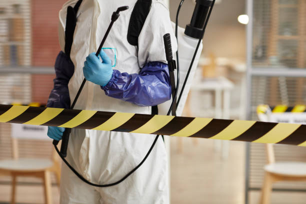 Professional Sewage Cleanup technician working in East Freetown, MA